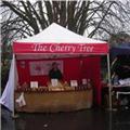 Christmas Market Dawlish 2011